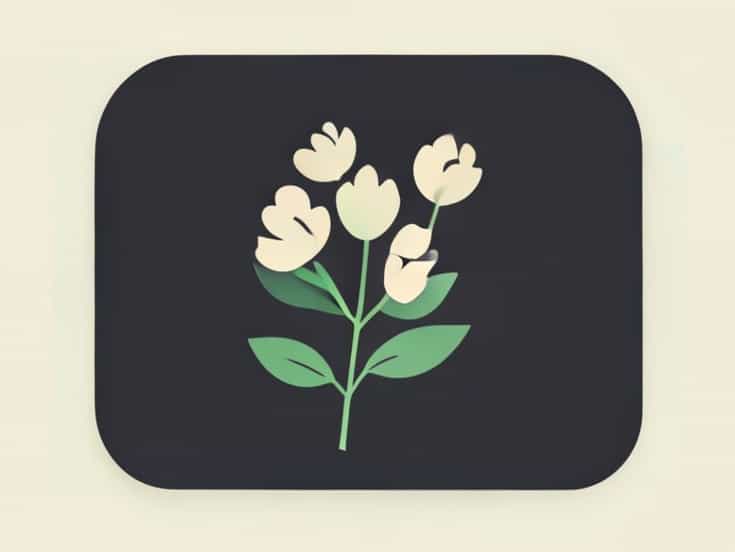 Perks Of Being A Wallflower By Stephen Chbosky