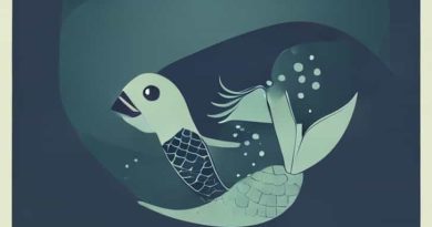 Perry Mason The Case Of The Murderous Mermaid