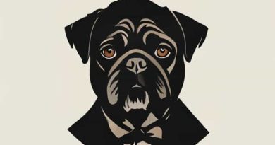 Perry Mason The Case Of The Playboy Pugilist