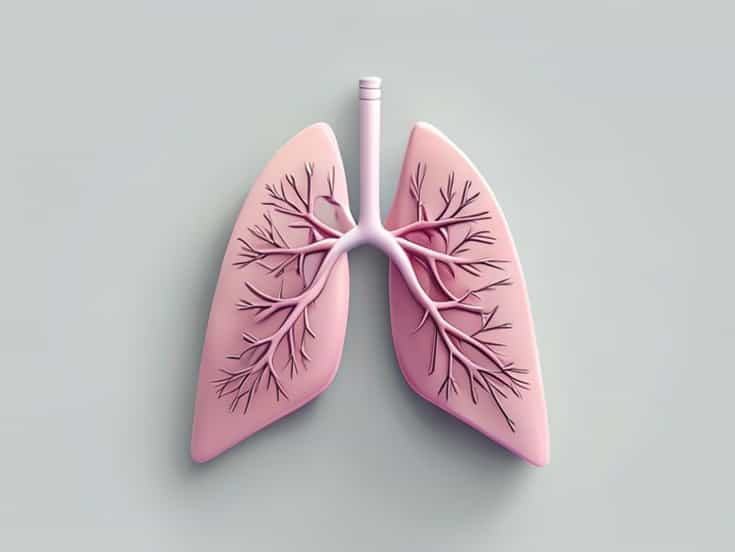 Pleurae Are Examples Of Which Type Of Membrane