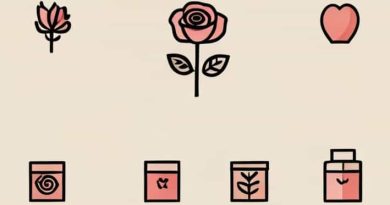 Products Offered By Rose Collection And Zillion
