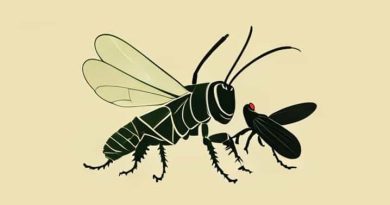 Question Answer Of On The Grasshopper And Cricket