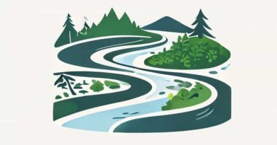 Several Russian Rivers Tributaries Of The Yenisei