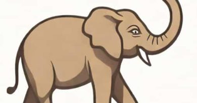 Shooting An Elephant By George Orwell Summary