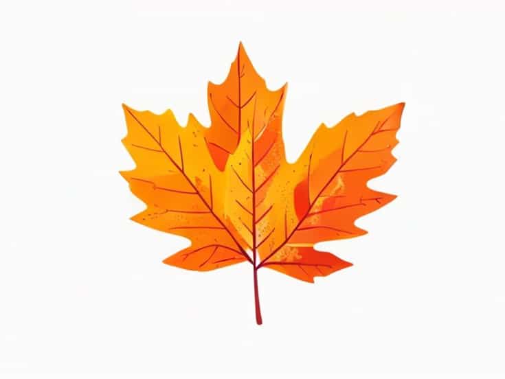 Tempura Fried Maple Leaves Are A Delicacy Where