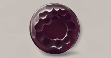 The Biconcave Cells In Blood That Lack Nuclei