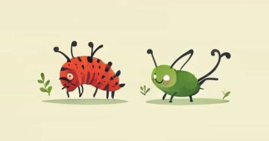 The Caterpillar And The Polliwog Weston Woods