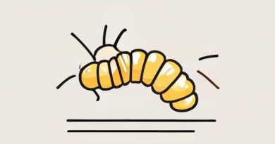 The Commercial Rearing Of Silkworm Is Called