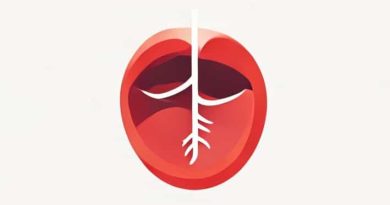 The Epiglottis Glottis And Vocal Cords Quizlet