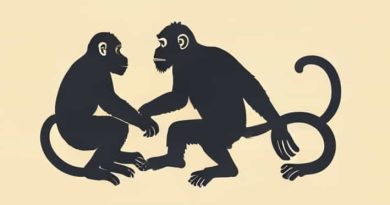 The Gestural Communication Of Apes And Monkeys
