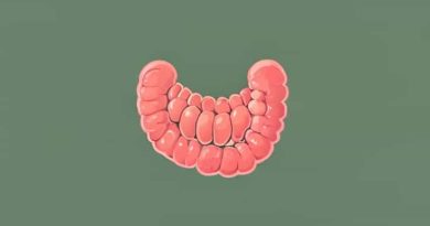 The Is The Midsection Of The Small Intestine