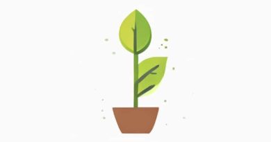 The Plant Body Is Usually Attached To Substratum
