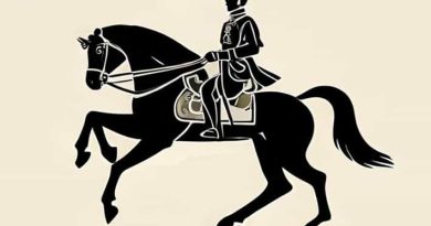 The Royal Andalusian School Of Equestrian Art