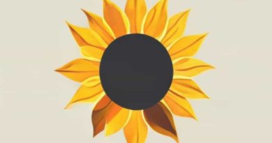 The Secret Life Of Sunflowers By Marta Molnar