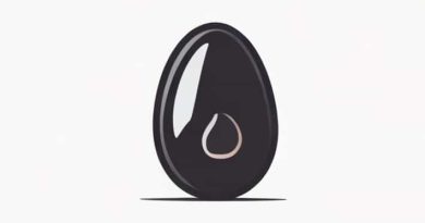 The Sporophyte Represented By Only Capsule Is