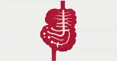 Using An Anatomic Directional Term The Stomach Is