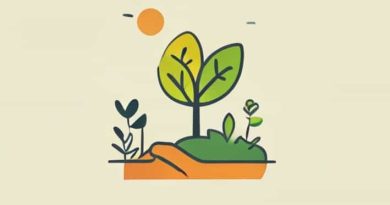 Using Natural Resources In A Responsible Way