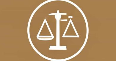 Values And Ethics Code For The Public Sector