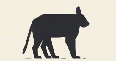What Animal Has The Longest Lifespan In Captivity