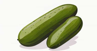 What Happened To Vlasic Original Dill Pickles