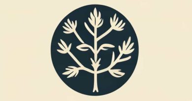 What Is Innateness Theory Of Language Acquisition