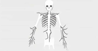 What Is It Called When Your Bones Deteriorate