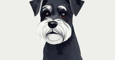 What Is The Lifespan Of A Miniature Schnauzer