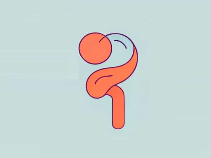 What Quadrant Is The Right Fallopian Tube In