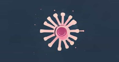 Where Does Cell Division Occur In The Villus