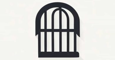 Which Of The Following Best Describes Detainment