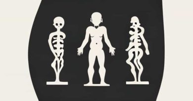 Who Disproved Embryological Support For Evolution