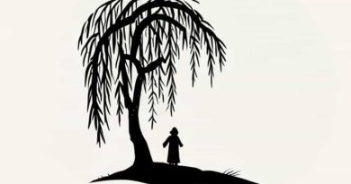 Wind In The Willows Christmas A Kenneth Grahame