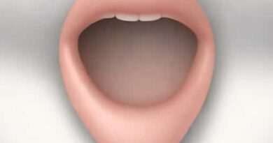 Anterior Surface Of Epiglottis