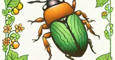 Are Japanese Beetles Cyclical
