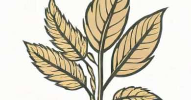Botany Manor Ash Plume Clues