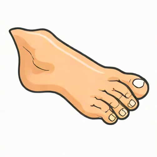 Broken Proximal Phalanx Foot