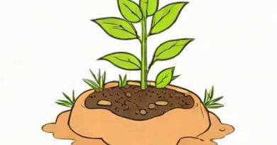 Can You Bury Leggy Seedlings