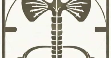 Capital Health Hopewell Xray