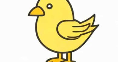 Chick Pipped But Not Zipping