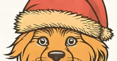 Christmas Story Coonskin Cap