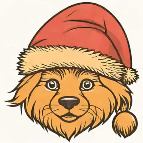 Christmas Story Coonskin Cap