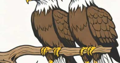 Do Bald Eagles Mate For Life