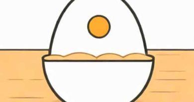 First Episode Of Egghead Arc