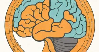 Function Of Right Hemisphere