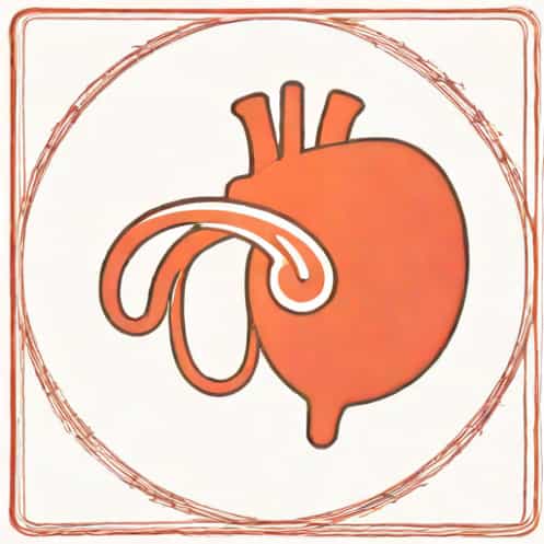 Grade 2 Diastolic Dysfunction