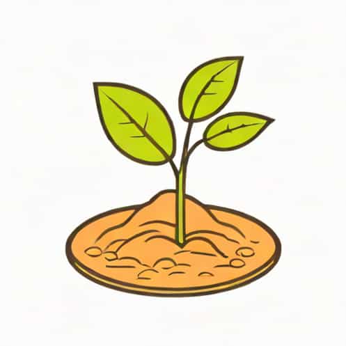 Hindi Meaning Of Germination