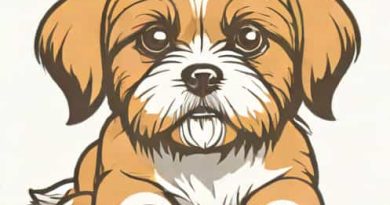 How Much Is A Shih Tzu Puppy