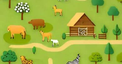 Jimmys Farm And Wildlife Park