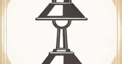 Koliko Soli Na Kilogram Mesa