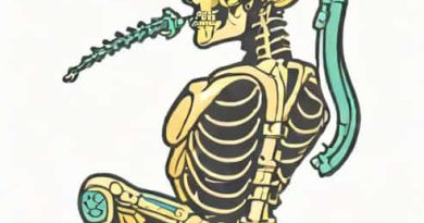 Kyphosis Can It Be Corrected